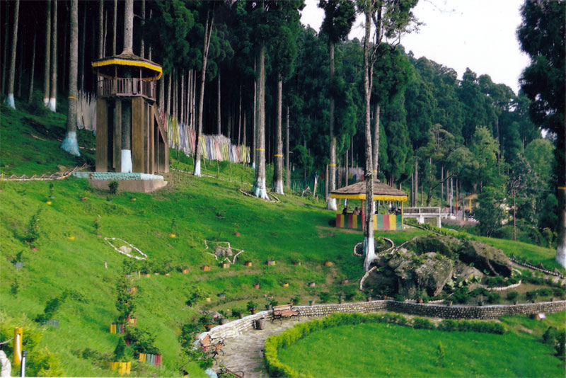 Lamahatta Homestay Darjeeling